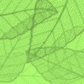 Bright green background with halftone polka dot effect leaf pattern Royalty Free Stock Photo