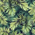 Bright green background with tropical plants. Seamless vector exotic pattern with phoenix palm leaves. Royalty Free Stock Photo