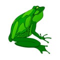 Bright green big frog drawing vector. isolated on white Royalty Free Stock Photo