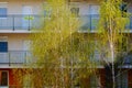 Bright green birch trees with transparent branches and condominium building open corridors.
