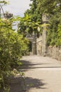 Bright green branches of flowering shrubs on the background of ancient walls and towers of the Vorontsov Palace.