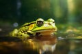 Bright Green Bullfrog Pond Dweller Awaiting. Generative AI Royalty Free Stock Photo