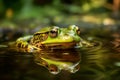 Bright Green Bullfrog Pond Dweller Awaiting. Generative AI Royalty Free Stock Photo