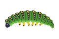 Bright Green Caterpillar as Larval Stage of Insect Crawling and Creeping Vector Illustration Royalty Free Stock Photo