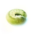 Bright green caterpillar close-up Royalty Free Stock Photo