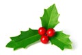 Green Christmas holly with red berries isolated on white Royalty Free Stock Photo