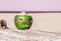 Bright Green coconut as a symbol of halloween in the shape of a pumpkin stands a tree. on a tropical beach. Holidays vacation