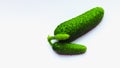 Bright green cucumbers on a white background. Royalty Free Stock Photo