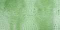 Bright Green Embossed Gator Leather Texture Royalty Free Stock Photo