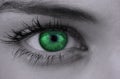 Bright green eye on female face Royalty Free Stock Photo