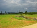 Bright green field with bushy trees under a cloudy sky on a rainy day in Israel