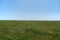 A bright green field on a summer day with a clear blue sky and straight horizon. Royalty Free Stock Photo