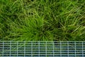 Bright Green Fluffy Grass Below Metal Walkway