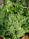 Bright green fresh green spinach leaves bundle