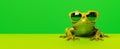 Bright green frog in sunglasses on bright green background, banner with copy-space.
