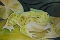 Bright green frog on a water lily leaf