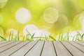 Bright green grass begins spring season. With yellow and bright bokeh with sunlight and wooden floor. Natural beauty Copy Space an Royalty Free Stock Photo