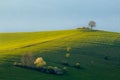 Bright green grass landscape in spring with country road Royalty Free Stock Photo