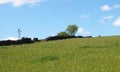 bright green grass meadow covered in spring flowers on a hillside with crumbling old stone wall trees and blue sunny sky Royalty Free Stock Photo