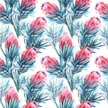 Bright green herbal tropical wonderful floral summer pattern of a pink protea flowers watercolor hand illustration