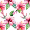 Bright green herbal tropical wonderful hawaii floral summer pattern tropic pink red violet blue flowers hibiscus watercolor hand i Royalty Free Stock Photo