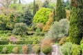 Bright green landscape of coniferous and deciduous vegetation Royalty Free Stock Photo