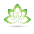 Bright green lotus flower logo, vector illustration