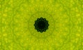 Bright green mandala Art with a dark core