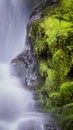 Bright green moss of autumn edges soft falling waterfall