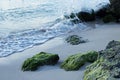 Bright green Mossy rocks on the beach at Oistins Barbados Royalty Free Stock Photo