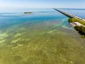 Bright green reef in the Florida Keys Royalty Free Stock Photo