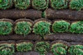 Bright green rolls of sod Royalty Free Stock Photo