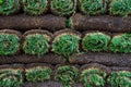 Bright green rolls of sod