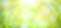 Bright green spring or summer blurred background Royalty Free Stock Photo