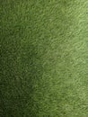 bright green synthetic grass carpet