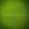 Bright green texture with brush strokes in thick oil paint Royalty Free Stock Photo