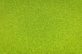 Bright green texture Royalty Free Stock Photo