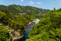 Bright Green Trees in Chichibu Royalty Free Stock Photo