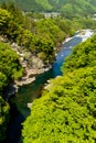 Bright Green Trees in Chichibu