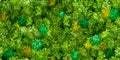 Bright green wall seamless pattern with moss texture Royalty Free Stock Photo