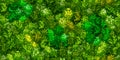 Bright green wall seamless pattern with raindeer moss texture Royalty Free Stock Photo