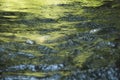 Green water, surface of a flowing river, Iguazu river