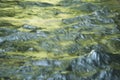 Green water, surface of a flowing river, Iguazu river