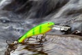 A bright green wobbler lying on a stone Royalty Free Stock Photo