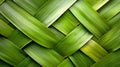 Bright Green Woven Leaves Texture Royalty Free Stock Photo