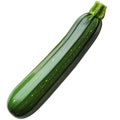 Fresh zucchini isolated on white background ready for cooking and garnishing dishes Royalty Free Stock Photo