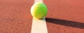Bright greenish yellow tennis ball on the line Royalty Free Stock Photo