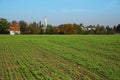 Bright greens of young plantings of vegetables on a farmer`s field against the backdrop of an autumn village with a church in the Royalty Free Stock Photo