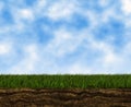 Bright growing green grass on a blue sky backgrounds Royalty Free Stock Photo