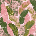 Bright grunge tropical banana leaf background Royalty Free Stock Photo